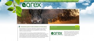 Medio Ambiente y proyectos agroforestales